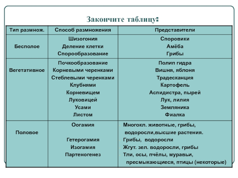 Ссылка на кракен 2krnk