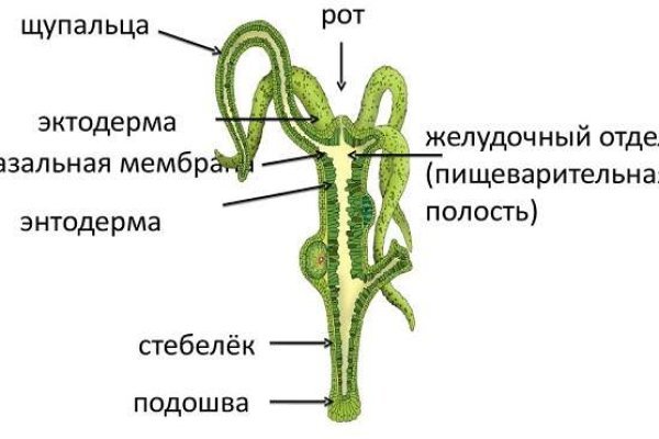 Зайти на сайт кракен